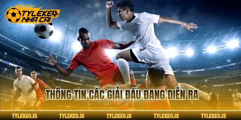Thông tin các giải đấu đang diễn ra